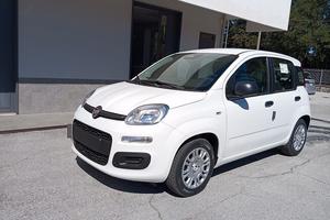 Fiat Panda 1.0 FireFly S&S Hybrid Icon