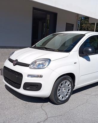 Fiat Panda 1.0 FireFly S&S Hybrid Icon