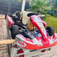 Go Kart 100