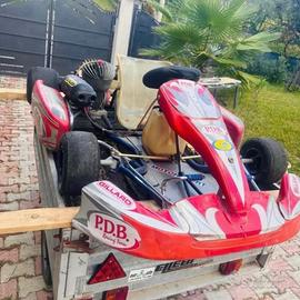 Go Kart 100