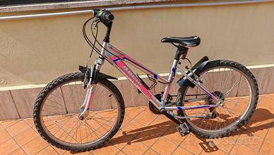 Mountain bike bicicletta