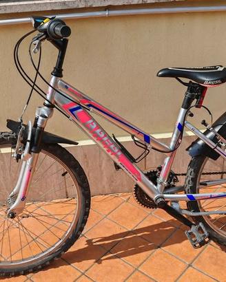 Mountain bike bicicletta