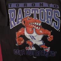 Basket raptors