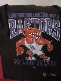 Basket raptors