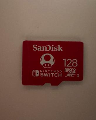 Memoria ssd per nintendo switch