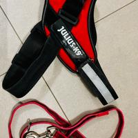 Pettorina  con guinzaglio cani JK9 tg.M/0