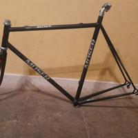 Moser LEADER sc 51.151