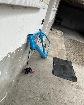 telaio bici mtb