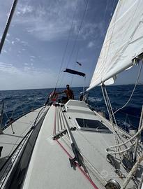 Ziggurat 995 versione race 9.95 mt