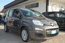 fiat-panda-1-0-firefly-70cv-hybrid-s-s-uff-italy-c
