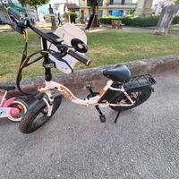 bici elettrica 250w
