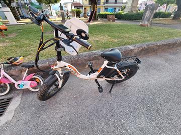 bici elettrica 250w