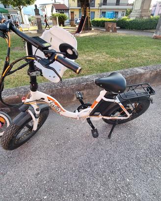 bici elettrica 250w