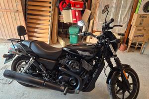 Harley 750 Street 5/2017 Km 4000
