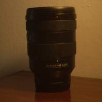 Sony SEL 24 -105 F4