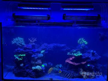 Acquario AquaMedic Armatus 300 + accessori