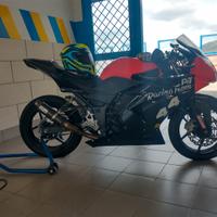 Kawasaki Ninja 250R - 2010