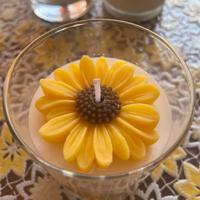 Candela Girasole