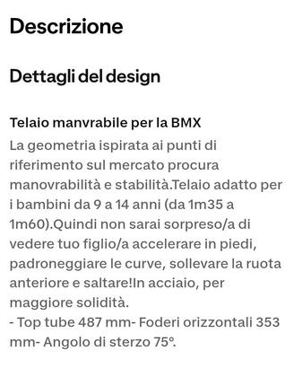 Bici BMX