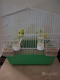 Uccelli