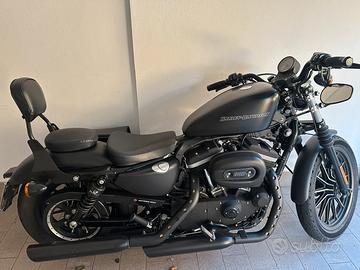 Harley Davison 883 iron