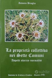 La proprietà collettiva nei Sette Comuni