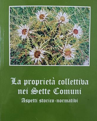 La proprietà collettiva nei Sette Comuni
