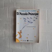 Libro piccolo principe