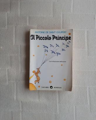 Libro piccolo principe
