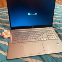 HP CHROMEBOOK 15-a