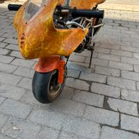 Minimoto Polini