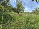 terreno-cefalu-