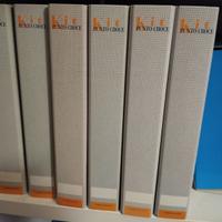 Kit punto croce - Fabbri editore