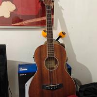 Basso acustico Ibanez a scala corta