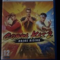 Gioco ps5 Cobra Kai2