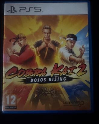 Gioco ps5 Cobra Kai2