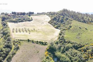 Terreno con podere da ristrutturare