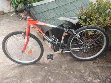 una bicicletta da ragazzo 