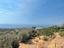 Immagine 13