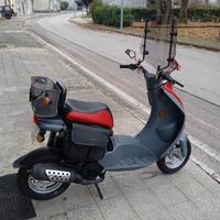 scuter pegeaut ludix 50 one 