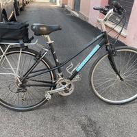 Biciclette trekking Fuji