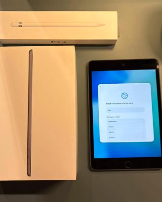 Ipad mini 5 wifi 64gb