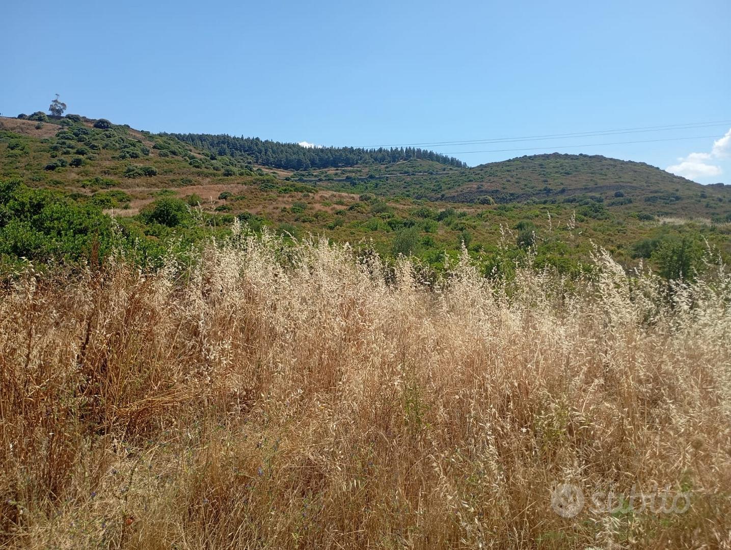 Donori: Terreno agricolo Località Sa Roja Fridrigu - Vista 4