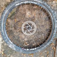 Ruota con freno a disco pro