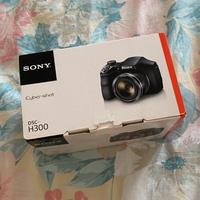 Sony Cyber-shot DSC-H300