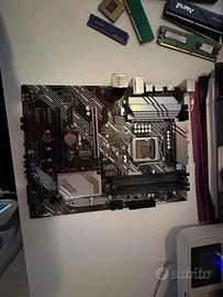 Asus Prime Z490-P Scheda madre LGA 1200 Intel