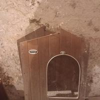 cuccia cane