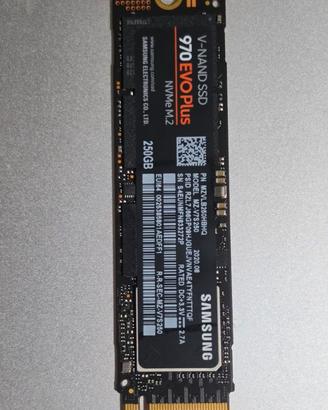 Unità SSD Samsung 970 EVO Plus da 250GB