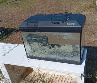 Acquario per pesci