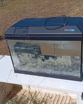 Acquario per pesci